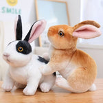 Walking Rabbit Toy for Kids - Moves with Music - Perfect Gift for Boys & Girls